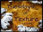 TUESDAYS OF TEXTURE | WEEK 4 OF 2017