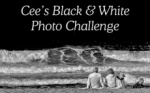 Cee’s Black & White Photo Challenge: Motto